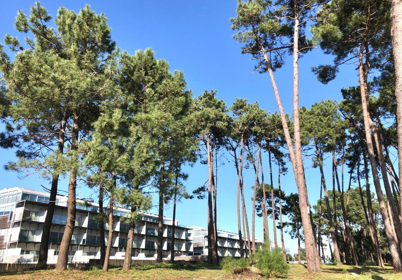 Ferienwohnung Morada Do Pablinho A Illa de Arousa Exterior foto